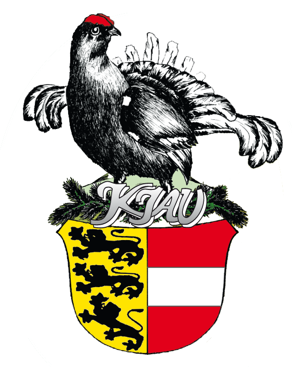 Logo KJAV